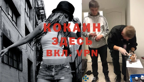 спайс Арсеньев